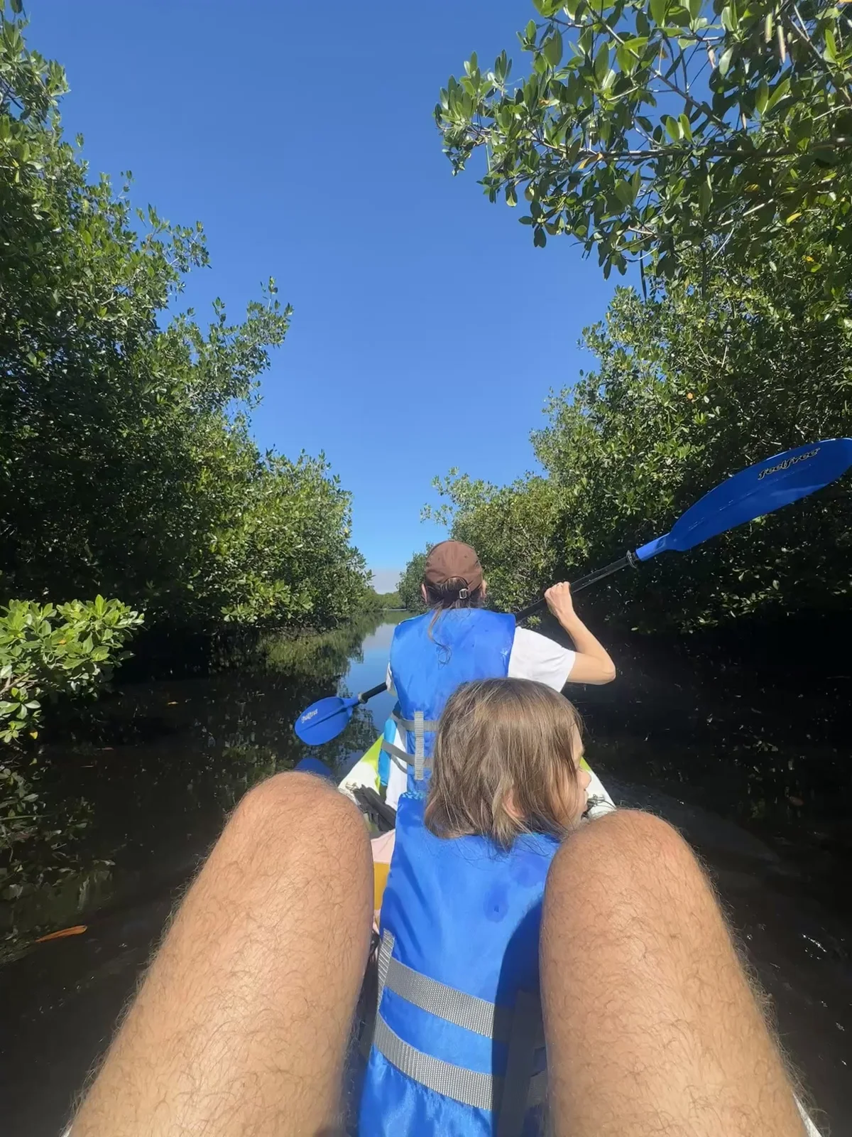 Children in life jackets seen from behind in a kayak on a mangrove channel