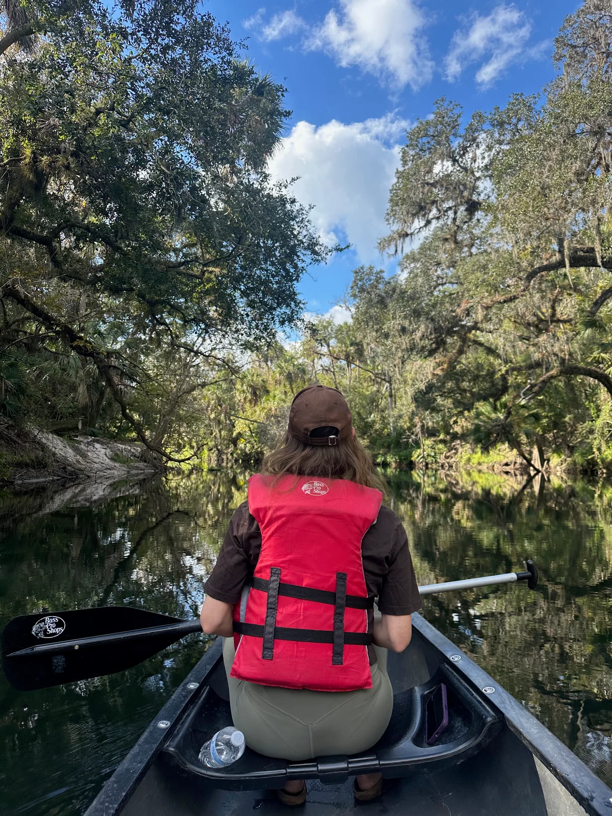 A parent in a red life jacket seen from behind paddling a canoe under mossy oaks