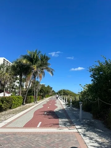 A palm-lined pedestrian path beside Miami Beach