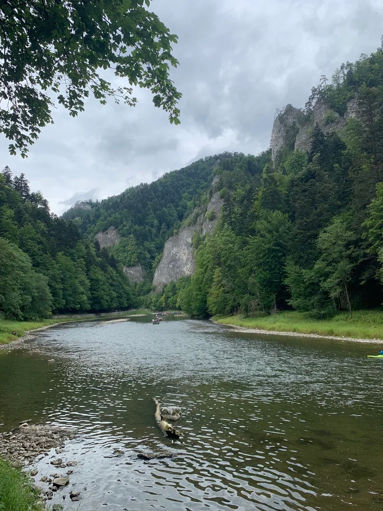 Dunajec u podnóża zalesionych wapiennych skał
